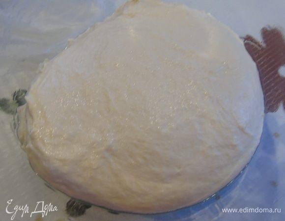 В миску влейте оливковое масло и выложите тесто Лучше в прозрачную, так видно как тесто наполняется пузырьками. Накройте и оставьте на 2,5-3 часа.  За это время тесто  увеличится вдвое в размере и станет более пористым.