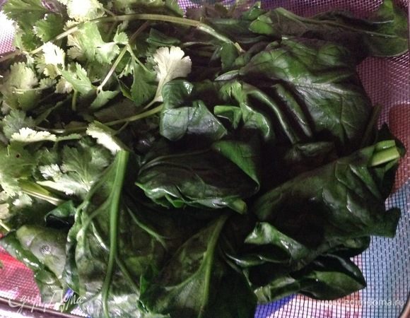 Добавить к шпинату хорошо промытую кинзу и дать стечь.