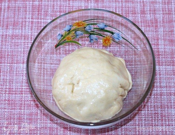 Замешиваем мягкое не липнущее к рукам тесто.
Наливаем в большую миску растительное масло (1-2 ч. л.), кладем ком теста и прокручиваем. Закрываем миску с тестом пищевой пленкой или пакетом и ставим в теплое место. 
