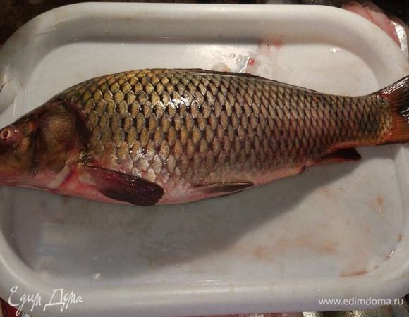 Сазана почистить и выпотрошить.