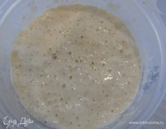 А теперь перейдем к выпечке самого хлеба. С вечера ставим опару. Смешиваем все ингредиенты для опары: 20 г закваски на пике, 100 г теплой воды, 100 г пшеничной муки. Накрываем и оставляем на 10-12 часов. Вот такая она будет через 10-12 часов.