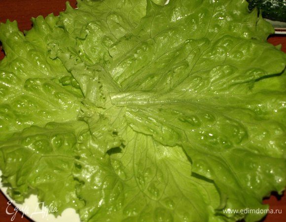 Листья салата промыть, дать стечь воде. Выкладываем листья салата на тарелку и ставим в холодильник.