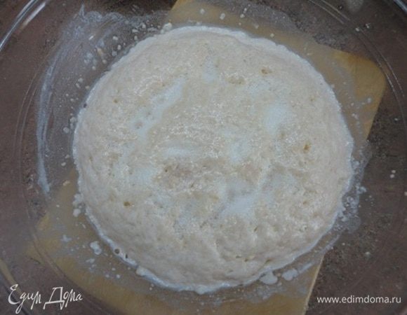 Яйца взбить с сахаром, ванилью и солью и влить в подошедшую опару. Перемешать.