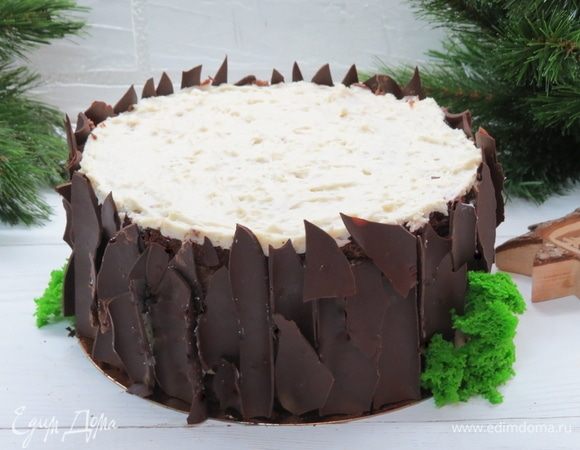 Шоколадную «кору» очень удобно было крепить на остатки шоколадного мусса.