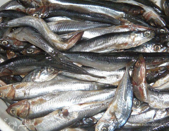 Малосольную хамсу промыть, очистить.