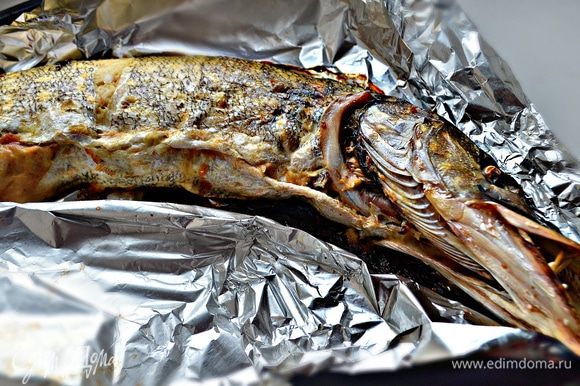 Выкладываем щуку на противень покрытый фольгой, смазываем растительным маслом. Прикрыть рыбу фольгой, а в конце запекания приоткрыть для получения золотистой шкурки. Запекать рыбу около часа при 170–180°C , но время, конечно, зависит от размера рыбины.