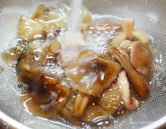 Пока варится бульон, грибы промоем. 