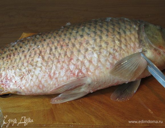 Чистим рыбу. Срезаем плавники, хвост. Не выбрасываем плавники и хвост.