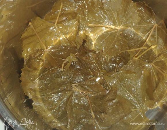 Дальше мы промываем виноградные листья. Я использовала засоленные листья из пачки. У кого есть свежие, тому повезло больше.
Чтобы избавить листья от такого большого количества соли я замачивала их в кипятке на минут 15, затем тщательно промывала каждый листочек. Если этого не сделать, то с такими листьями из пачки получится очень соленое блюдо. Дно кастрюли прокладываем небольшим слоем виноградных листьев. Если у вас попадутся порванные или слишком маленькие листочки, то можно использовать их.