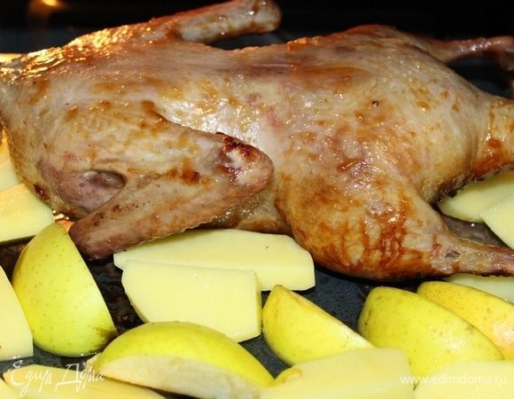 Уменьшить температуру до 160°С, смазать утку джемом. Рядом выложить оставшиеся яблоки и дольки картошки (отваренной до полуготовности). Готовим около 40 минут. Каждые 10 мин. смазывая глазурью (в процессе утку я пару раз перевернула со спины на грудку).