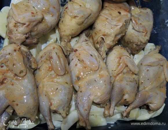 Выкладываем перепелок на противень, по желанию, можно выложить на подушку из овощей, в конце приготовления мы получим прекрасный гарнир. Выпекаем при 190°С примерно 1 час. Перевернув на другой бочок каждую тушку, когда зарумянится.