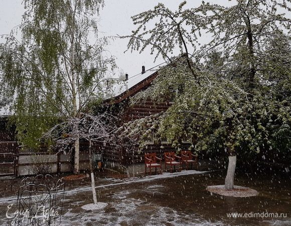 На дворе, оно, конечно, зима. А ведь так уже хочется весны. Хотя и в мае может быть вот так.
Но будем надеяться на лучшее и вспомним одну весеннюю еду. Вспомним, вздохнем и будет еще сильнее ждать весну.