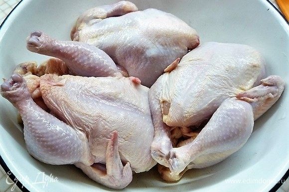 Цыплят хорошо промываем внутри и снаружи, обсушим бумажным полотенцем, солим. Натираем специями, смесью для курицы и оставляем на 20 минут.