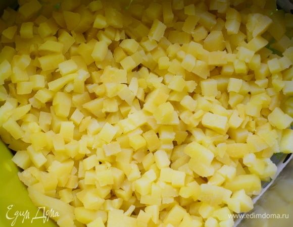 Заранее отварим и остудим овощи, яйца, креветки. На блюдо ставим разъемное кольцо и начинаем собирать наш салатик слоями. Первый слой отварной картофель порезанный кубиками. Смазываем соусом из майонеза и йогурта в равных пропорциях.