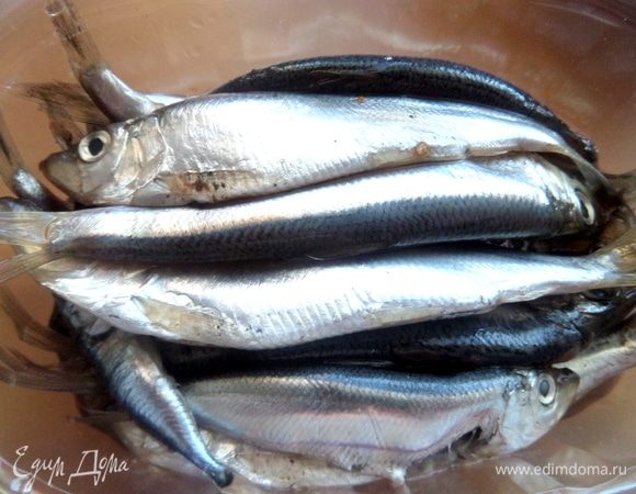 Под свекольную начинку берем кильку пряного посола.