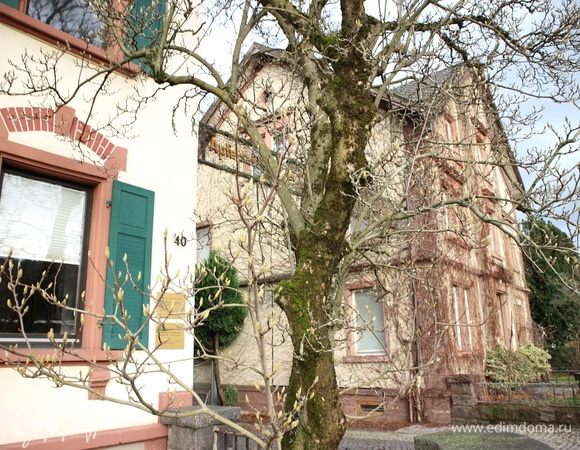 Поскольку в описании рецепта коснулась путешествий, одна из недавних фотографий. Южная  Германия, город Hausach, 2 января. На деревьях набухли почки, температура воздуха бьет рекорды. Кстати, в этом городке находится очень интересный, и не только для детей, музей модели железной дороги (Modellbahn). Говорят, самый крупный в Европе.