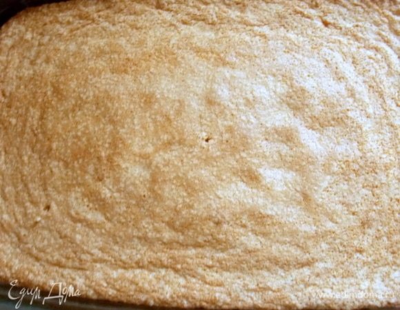 Форму 20*30 см смазать растительным маслом и выложить тесто. Разровнять и выпекать в горячей духовке при 180°С примерно 30–35 мин. до сухой спички.