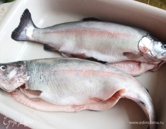 Удалить у рыбы жабры, почистить чешую, ополоснуть.