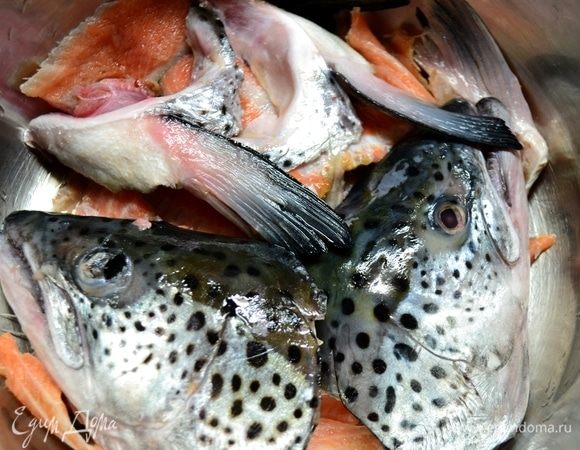 Разрезаем головы форели на две части, удаляем жабры, остальные части режем на порционные куски, промываем. Наливаем воду и ставим на газ. Доводим до кипения, снимаем пенку (чтобы бульон был прозрачным и чистым). Добавляем специи, соль.