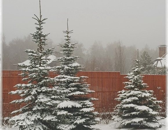 Вот такое за окном у нас в деревне. И сверху сыплет, и со всех сторон метет. Зима, одним словом. Согласитесь, что в такую погоду особенно хочется съесть чего-то такого — летнего, сочного, ароматного.