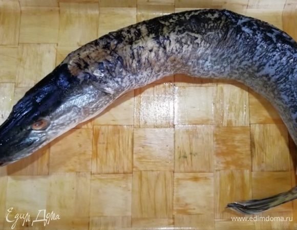 Щуку помойте, очистите чешую, выпотрошите, удалите жабры.