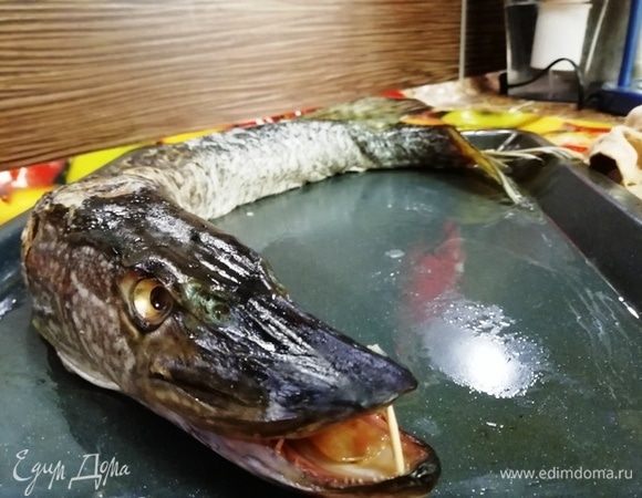 Чтобы вид был еще более хищный, я аккуратно вставляю в пасть зубочистку. Какие у щучки красивые глаза! Кожу щуки проткните иголкой в нескольких местах, чтобы она не лопнула при запекании.