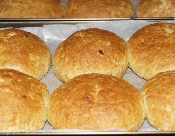 Масло, сахар, творог, яйца смешиваю по очереди, растираю масло с сахаром, добавляю творог, яйца, перемолотые в блендере овсяные хлопья, просеянную муку, разрыхлитель. Вместо разрыхлителя можно добавить чайную ложку соды, гашеной в уксусе.
Замешиваю не очень густое тесто (до отлипания от рук), накрываем пленкой, ставим в холодильник на 1–1,5 часа.