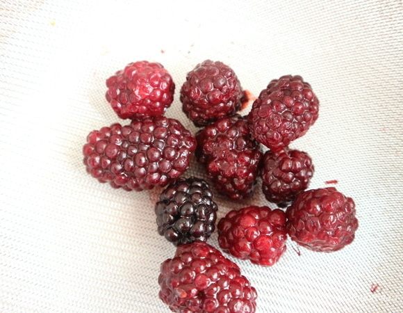 Разморозить немного ежевику (заменить можно черникой, получится примерно тот же цвет, можно взять малину), положить на мелкое сито, протереть.