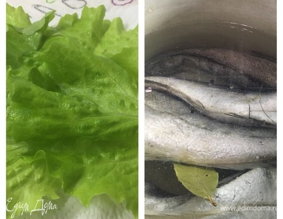 Отварить хек ТМ «Магуро». Подготовить листья салата, нарезать соленые огурцы, лук, помидоры.