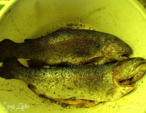 Рыбку (форель, горбуша, терпуг, да много какая еще) помыли, чешую почистили, брюшко почистили. Перец с кориандром в ступе помололи-подавили, вместе с солью маслом растительным залили и размешали хорошенько. Рыбу натерли этой смесью и дали полчасика полежать на свежем воздухе.