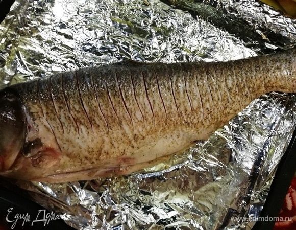 На толстолобике с двух сторон сделать частые надрезы, сбрызнуть соком лимона, посолить, поперчить с двух сторон и внутри рыбы.