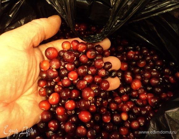 Перебираем, чтобы чего лишнего не попалось.