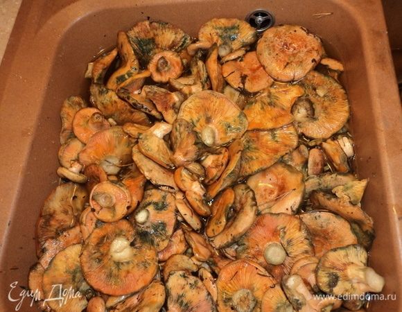 Помыли, лишние иголки-палки-листики — долой.