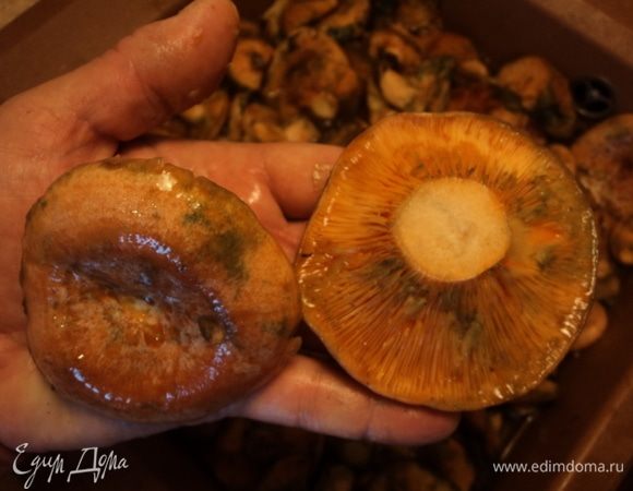 Каждый грибок помыли тщательно, ножичком со шляпки, если что прилипло, счистили, ножку самую малость срезали, дабы убедиться в чистоте.