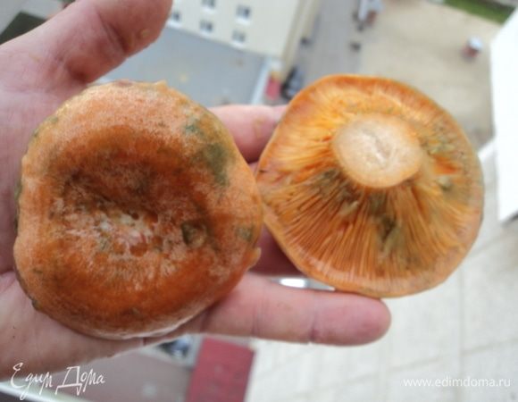 Вышли с самым красивыми на балкон, подышали, полюбовались:)