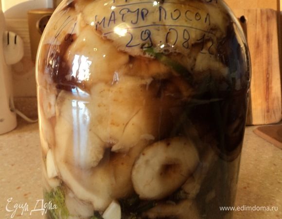 Потом перекладываем в банку все, что там начало кваситься, — грибы и сок. На дно хорошо хрена листик и на верх банки тоже, чередуем грибы и укроп, хрен корень и чеснок. Все плотненько продавливаем при укладке. Пузыри воздуха выпускаем, периодически просовываем между грибами и стенкой банки что-нибудь — нож, ложку, деревянную палку-мешалку.
Суть — как заполнили банку, ни у стенок банки воздуха не должно быть, ни верх банки не должны грибы торчать из рассола.
Если вдруг рассола мало, сверху соленой водой 50–100 мл подлейте под самую крышку. И закрывайте полиэтиленовую крышку (разогреть ее в кипятке, тогда просто) так, чтобы излишки сока выбежали. Водяной затвор. В холодильник — и до 40 дней терпеть.
Для груздей сухих и сырых (марки такие у них) при таком сухом и холодном способе посола однозначно срок ферментации (то есть готовности для употребления в пищу в сыром виде) — 40 дней! Но кто хоть раз это пробовал, не забудет.
Опять же «Несмеяновка», картошка, хлеб. Но пуще всего и важней — это с кем:)
Отличная компания с позитивом — груздь хорош;)
