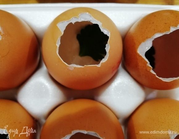 С помощью пинцета аккуратно кладем листик петрушки на дно скорлупы.