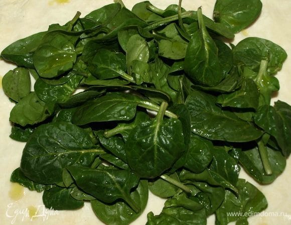 Тесто заранее разморозить. Вытянуть пласт руками. Выкладываем на пласт промытый шпинат, сбрызгиваем оливковым маслом.