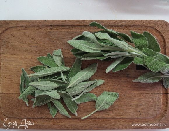 Тем временем займемся шалфеем. Листочки шалфея отделить от стебля.  