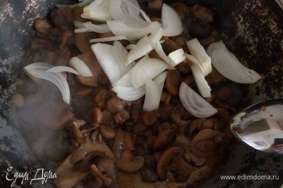 Грибы порезать, обжарить лук и грибы в небольшом количестве растительного масла.