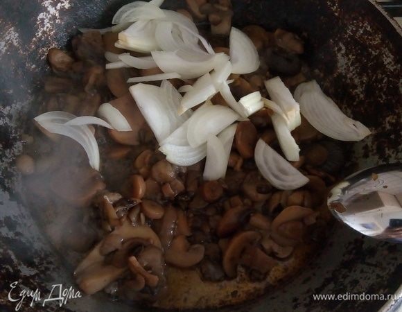 Грибы порезать, обжарить лук и грибы в небольшом количестве растительного масла. 