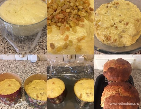 Пока наше тесто подходит, нужно промыть изюм и хорошо его обсушить. Итак, тесто подошло (посмотрите, как оно поднялось, а какое оно ароматное!). В тесто добавляем изюм и хорошо вымешиваем его руками (руки можно слегка смазать растительным маслом). Затем перекладываем тесто в формы (у меня получилось две формы, но лучше на это количество теста брать две 500 г формы и одну маленькую, так как в духовке тесто еще больше поднимается, и есть шанс, что оно вылезет из формы). Накрываем формы с тестом пленкой и опять ставим в теплое место на 30–40 минут. Пока наше тесто подходит, нагреваем духовку до 170–180°С. Перед выпечкой куличи можно смазать желтком с молоком, но я этого не делала так как все равно покрывала куличи глазурью. Итак, отправляем куличи и выпекаем до сухой спички 35–45 минут. Ориентируйтесь по своей духовке!