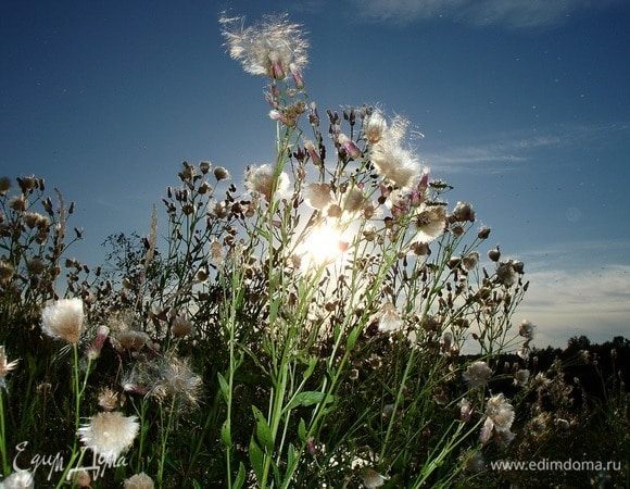 А какие вокруг места.