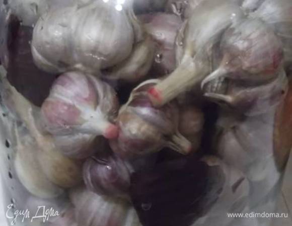 В стерилизованную стеклянную банку уложить чеснок, чередуя с кусочками свеклы.