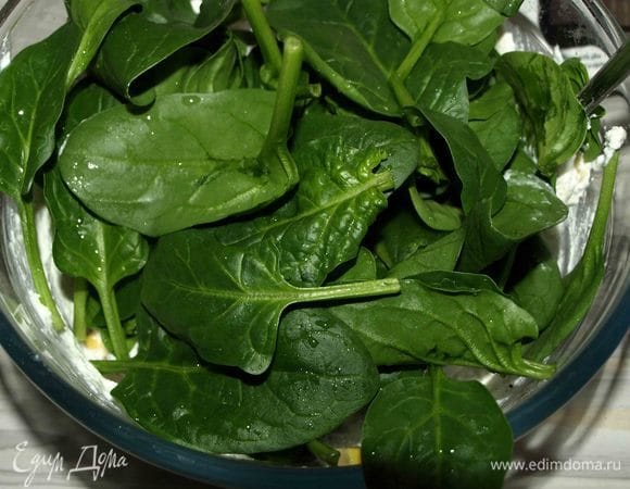 Листья шпината промыть, дать стечь воде. Добавить к сыру с кукурузой. 