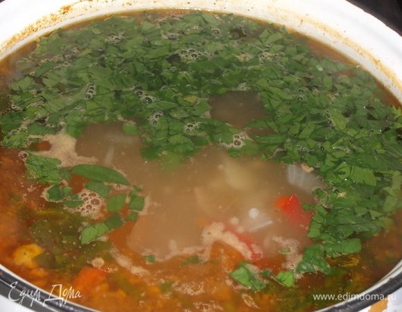 Проварить суп 15 минут. Добавить петрушку. Посолить по вкусу. Варить еще 5 минут. Выключить.