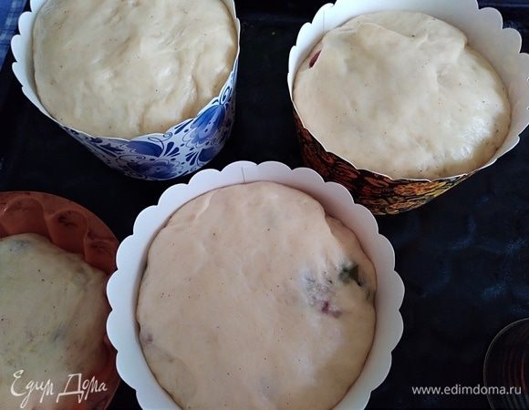 Через 45 минут тесто доходит почти до краев формочек. Из данного теста получается примерно 1,5 килограмма куличей. У меня было 3 средних формы и 2 маленьких.