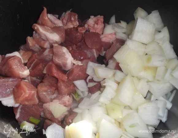 Нарезать свинину и лук, уложить в жаропрочную посуду. Посолить, поперчить.