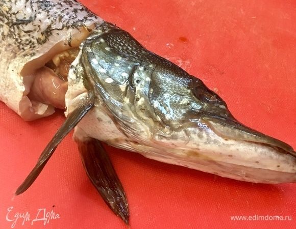 Берем щуку за голову и отклоняем ее вверх. Делаем острым ножом сквозной разрез под плавниками практически по всей окружности туловища. Практически. Потому как голову не отрезаем полностью, а оставляем держаться на коже с задней верхней стороны головы, как на фото.