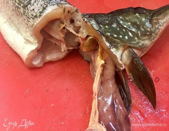 Максимально отодвигаем практически отрезанную голову. Теперь необходимо через образовавшееся отверстие вынуть из рыбы все не вкусные и не нужные внутренности! Сначала пройдемся ножиком по внутренней части рыбы, как бы вырезая внутренности из рыбы. А затем прямо руками вынимаем, вытягиваем их изнутри. На фото виден как раз момент, когда внутренности вынимаются. Это совсем не тяжело и не сложно, как может показаться. Просто действовать необходимо уверенно!